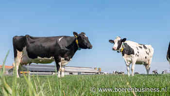 Meebouwen aan duurzaam beloningssysteem
