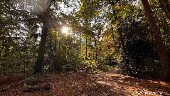 Nog een dagje doorbijten: 'De komende dagen verlopen zonovergoten'