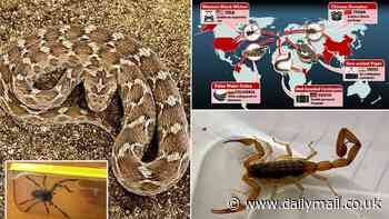 Terrifying map reveals how dangerous animals are sneaking into Britain - from a Chinese Scorpion in a Shein package to a Western Black Widow inside an imported car