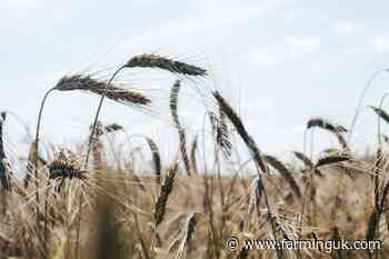 Arable farmers needed to help spark precision breeding conversation