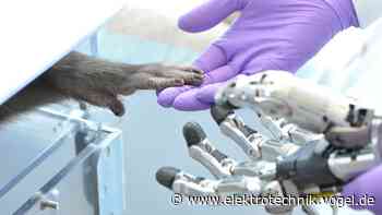 Handprothesen mit Gedankenkraft präziser steuern