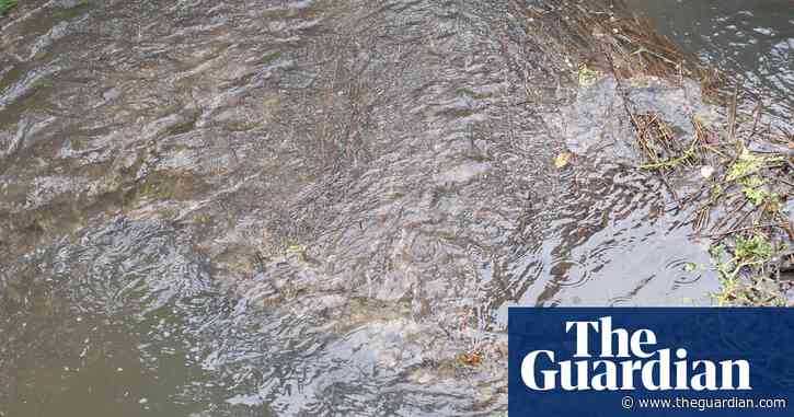 UK rivers contain ‘cocktail of chemicals and stimulants’ endangering aquatic life
