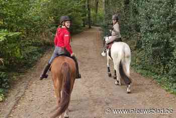 Culinaire rally van LRV heeft geluk met weer