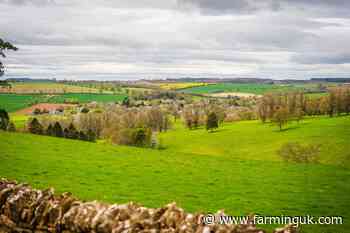 Farmland market most active since 2018, Savills says