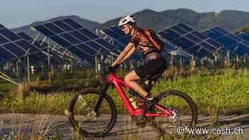 Gegenwind für Fahrradbranche hält an