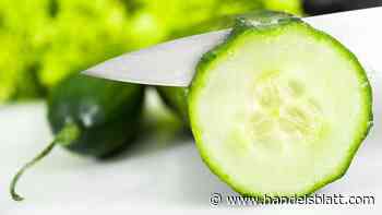 Lebensmittelverordnungen: EuGH macht klare Vorgaben für Bio-Logo und „veganes Schnitzel“