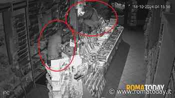 VIDEO | Un minuto per svaligiare l'edicola. La denuncia: "Situazione preoccupante"