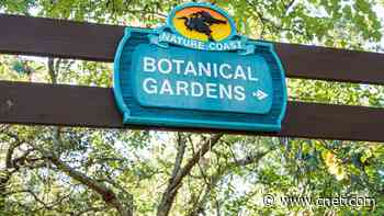 Best Internet Providers in Spring Hill, Florida