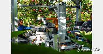 Universiteit ontwikkelt AI-gestuurde hardfruit plukrobot