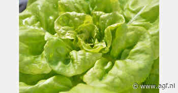 Spanje grootste exporteur van sla in 2023