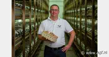 "Afzet champignons ontwikkelt zich weer positief"