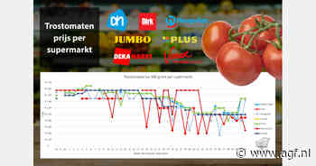 Gigantisch prijsverschil trostomaten, Galiaprijs stijgt flink
