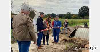 "Populariteit grondwitloof in de lift door herwaardering van lokaal"
