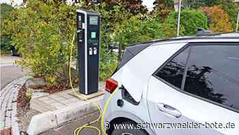 Wie sieht’s in  in Bad Liebenzell aus?: Überblick über Klimaschutz-Projekte