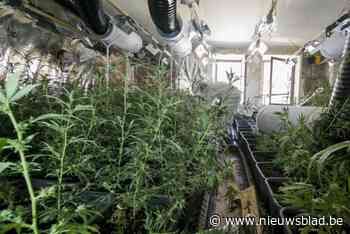 Nederlander vecht veroordeling voor cannabisplantage op vroegere Verlipack-site aan