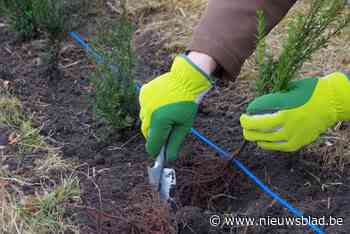 Nieuwe editie van Behaag Natuurlijk om van tuin paradijs voor vogels, vlinders en bijen te maken