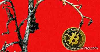 In the Kentucky Mountains, a Bitcoin Mining Dream Turned Into a Nightmare