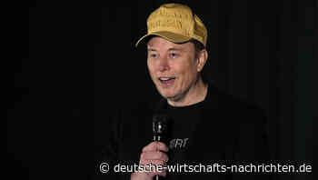 Elon Musk: Millionengeschenke für Wähler – Kritik am Vorgehen