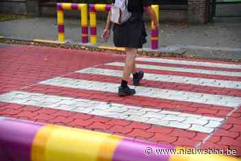 Veertiger al voor 67ste keer veroordeeld nadat hij vrachtwagen inhaalde aan zebrapad bij kleuterschool