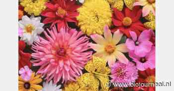 Wilderful genomineerd voor Smart Sustainable Sisley Award