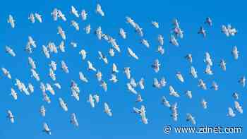 How to easily fly away from X to Bluesky without losing your flock - for now