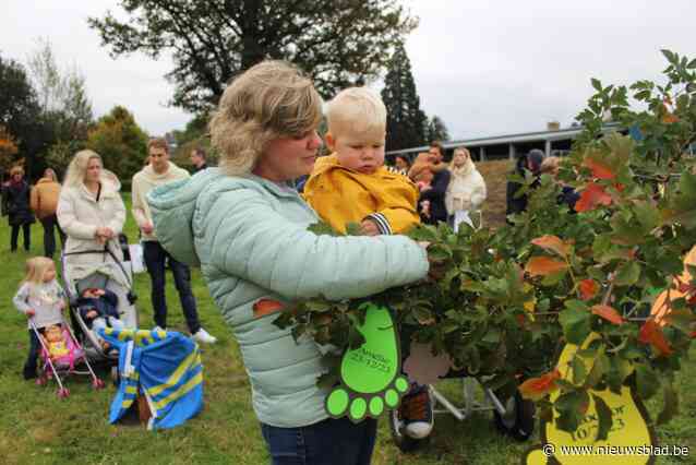 Gezinsbond plant al 17 jaar een geboorteboom