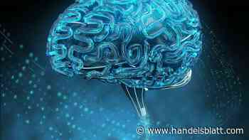 Investments: Anleger werden bei alternativen Anlagen wieder optimistischer