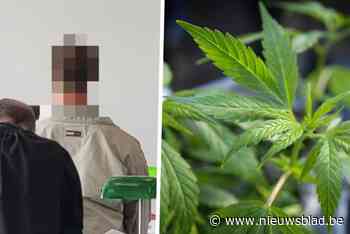 Zes studenten veroordeeld voor opzetten van drugshandeltje op hun kot: “Het was op grote schaal”