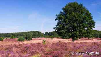 Tourismus: Gute Zahlen für Harz und Heide