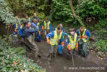 Rotary Club en jeugdbewegingen ruimen Molenbeek op