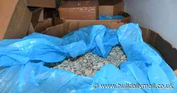 Trio jailed after huge quantity of high-purity cocaine found at Humber port hidden in mushrooms