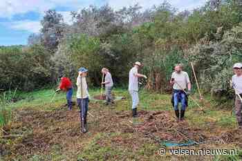 Aan de slag voor de padden in IJmuiden op Natuurwerkdag!
