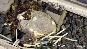 "Carcasse di animali e candele abbandonati alla stazione": residenti in allarme