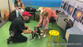 John Turner leads Project PUP and its 570 therapy dogs