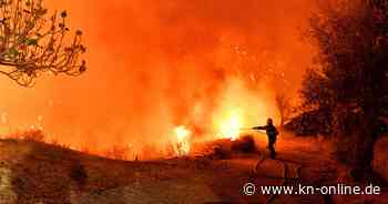 Wie der Klimawandel Waldbrände begünstigt – Gesundheitsgefahr für Menschen