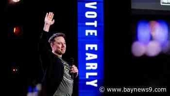 Musk offers voters $1 million a day to sign PAC petition backing Constitution. Is that legal?