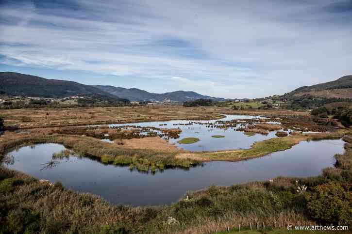 Guggenheim Outpost in Basque Nature Reserve Faces Opposition from Environmental Groups
