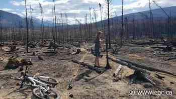 Alberta announces $112M to build 250 modular homes for displaced Jasper residents