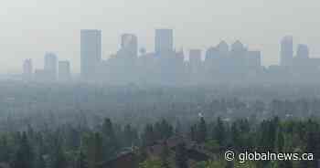 Wildfire smoke pollution linked to thousands of annual deaths: global study