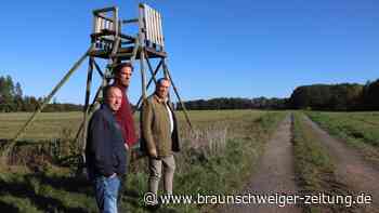 Video: Wolfsrudel taucht am helllichten Tag bei Wolfsburg auf