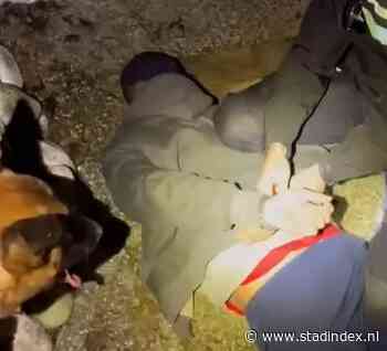 Honden helpen agenten drie inbrekers in Almere op te pakken