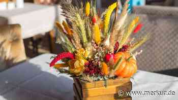 DIY-Ideen: Mit diesen fünf Deko-Elementen kehrt sofort Herbststimmung ein