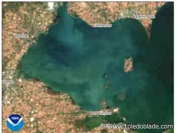 Algal bloom less intense, but still hanging on in western Lake Erie