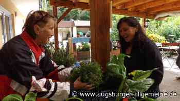 Gartenfans auf Schnäppchenjagd im Pflanzenparadies