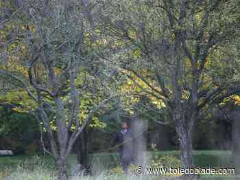 UT's Stranahan Arboretum to host community hayride