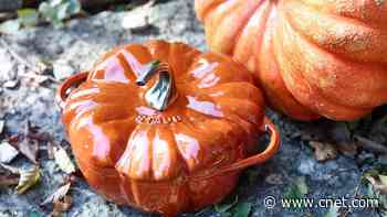 The Best Dutch Ovens: Budget Picks, Luxury Pots and Seasonal Styles