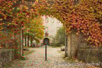 Wenn sich der Herbst von seiner schönsten Seite zeigt
