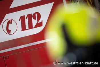 Herford: Gaffer würgt Rettungssanitäter bei Einsatz