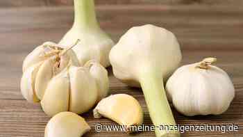 Was passiert, wenn man täglich Knoblauch isst? So gesund ist die Knolle