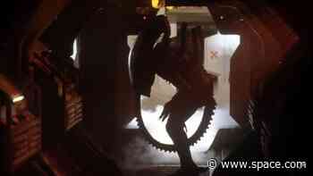 10 best sci-fi horror movies to watch ahead of Halloween